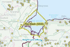 Just one of the UK's SSSI - The Wash