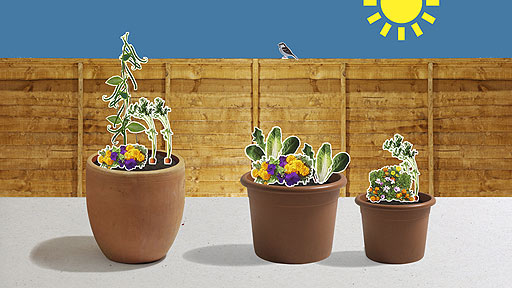 A pretty mix of flowers and veg growing together.