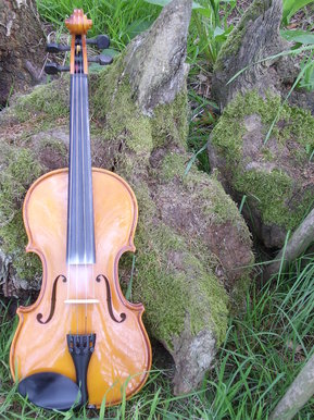 Violin on Stump