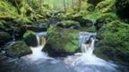 Rocky rapids at Bracklinn Falls near Callandar.