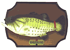 Wernham Hogg - Billy Bass
