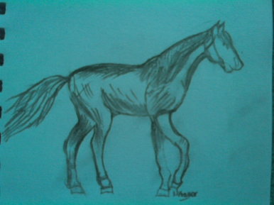 Just a horse