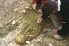 Excavation