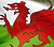 The Welsh flag