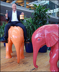 Peter Wilson herds the Go Elephants