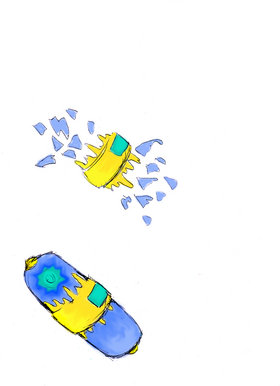 W Capsule copy