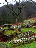 Roman Ruins