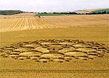 Crop circles