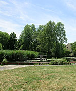 Lavender Pond Nature Reserve