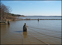 View across the James River