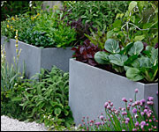 Mark Gregory's garden at Chelsea
