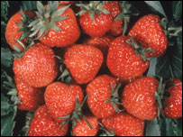 Strawberries