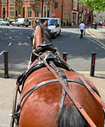 Ray's horse Rio approaches a narrow gap