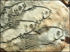 نمایی از فیلم رودخانه هنوز ماهی دارد ساخته مجتبی میر طهماسب