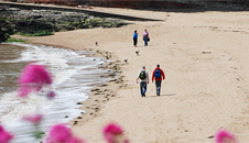 Jackson's Bay