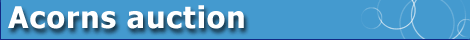 mini banner