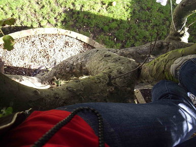 How high