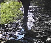 Mud!