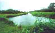 Ordeal of water