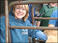 Julia Booth inseminating a cow