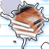 How to write a novel