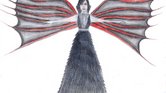 Death angel
