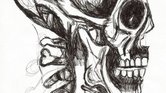 skull skull