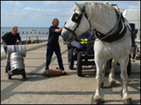 Sam the Percheron horse with the brewery draymen