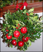 Kissing Bough at Red House