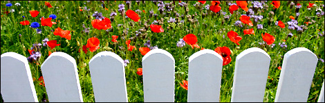 Garden fence