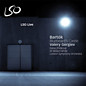 Review of Bela Bartok