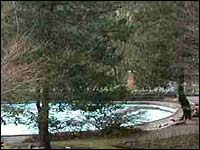 Bebra Gardens, Knaresborough