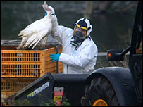 DEFRA official holding dead bird
