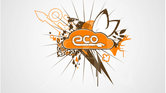 Eco skateboards...