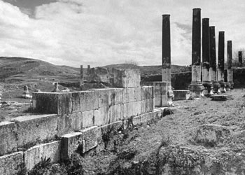 An illustration of Herod's popular, classic-style colonnaded courtyards