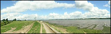 Exe Estuary
