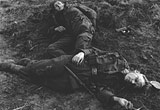 Dead and injured German soldiers in the wake of the Allies' Rhine Crossing