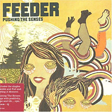 Review of Pushing The Senses