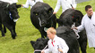 Men in white coats leading out their prize cattle on the final day