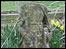 headless statue