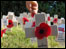 Remembrance crosses