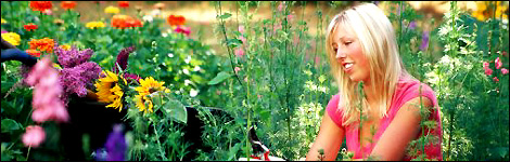 A summer garden