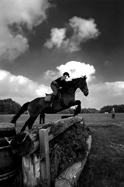 Horse jump