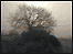 Animated weather images 2006