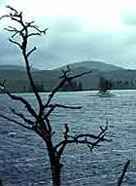 Image of crannog remains in a Scottish loch