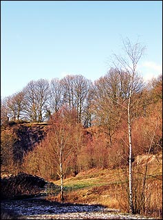 Doulton Clay Pit