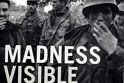 Madness Visible by Janine Di Giovanni