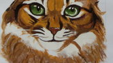 Tabby Cat Tabby Cat