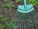 Lawn being raked