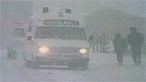 playing in snow